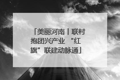 美丽河南丨联村抱团兴产业 “红旗”联建动脉通