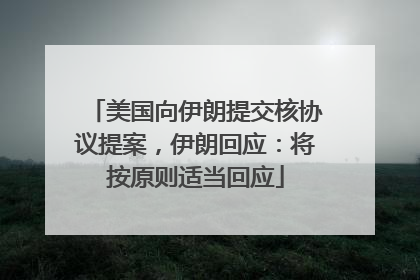 美国向伊朗提交核协议提案，伊朗回应：将按原则适当回应
