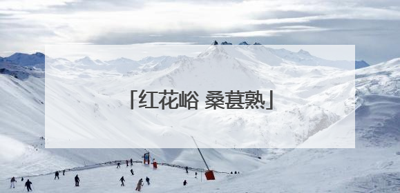 红花峪 桑葚熟