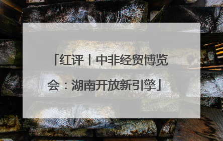 红评丨中非经贸博览会：湖南开放新引擎