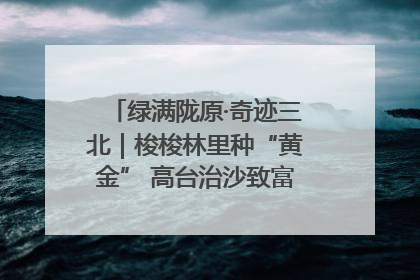 绿满陇原·奇迹三北｜梭梭林里种“黄金” 高台治沙致富很“从容”