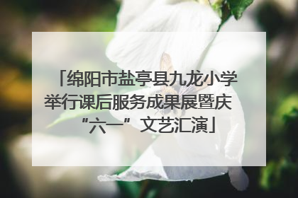 绵阳市盐亭县九龙小学举行课后服务成果展暨庆“六一”文艺汇演