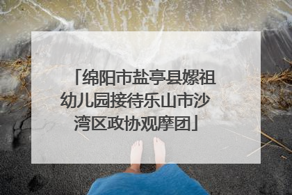 绵阳市盐亭县嫘祖幼儿园接待乐山市沙湾区政协观摩团