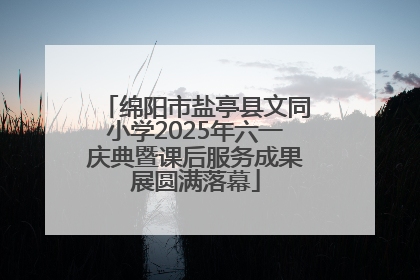 绵阳市盐亭县文同小学2025年六一庆典暨课后服务成果展圆满落幕