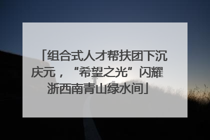 组合式人才帮扶团下沉庆元，“希望之光”闪耀浙西南青山绿水间