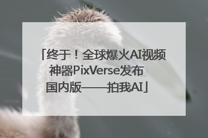 终于！全球爆火AI视频神器PixVerse发布国内版——拍我AI
