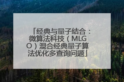 经典与量子结合：微算法科技（MLGO）混合经典量子算法优化多查询问题