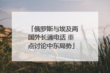 俄罗斯与埃及两国外长通电话 重点讨论中东局势