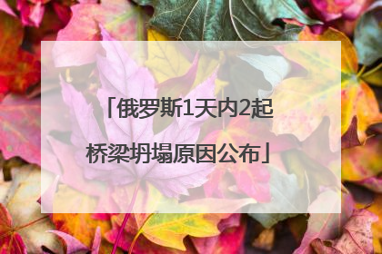 俄罗斯1天内2起桥梁坍塌原因公布