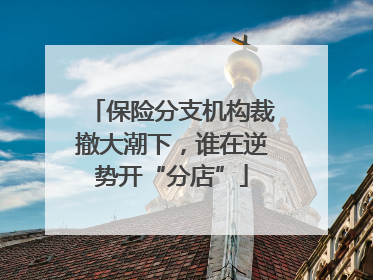 保险分支机构裁撤大潮下，谁在逆势开“分店”