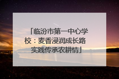 临汾市第一中心学校：麦香浸润成长路 实践传承农耕情