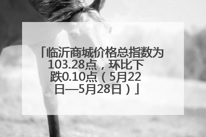临沂商城价格总指数为103.28点，环比下跌0.10点（5月22日—5月28日）