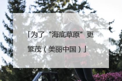 为了“海底草原”更繁茂（美丽中国）
