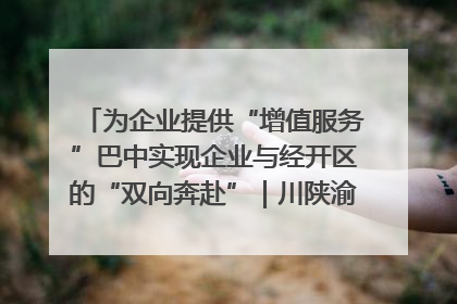 为企业提供“增值服务”巴中实现企业与经开区的“双向奔赴”｜川陕渝网络名人巴中行