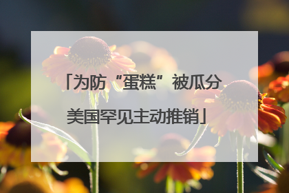 为防“蛋糕”被瓜分 美国罕见主动推销