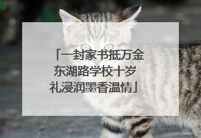 一封家书抵万金 东湖路学校十岁礼浸润墨香温情