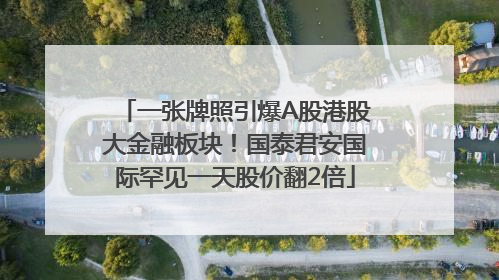 一张牌照引爆A股港股大金融板块！国泰君安国际罕见一天股价翻2倍