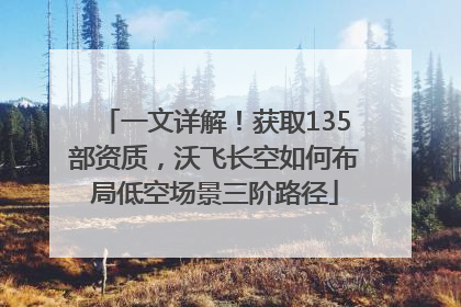 一文详解！获取135部资质，沃飞长空如何布局低空场景三阶路径