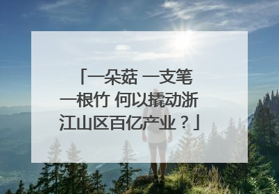 一朵菇 一支笔 一根竹 何以撬动浙江山区百亿产业？