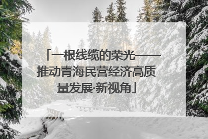 一根线缆的荣光——推动青海民营经济高质量发展·新视角