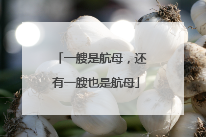 一艘是航母，还有一艘也是航母