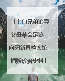 七旬兄弟追寻父母革命足迹 向阳新县档案馆捐赠珍贵史料