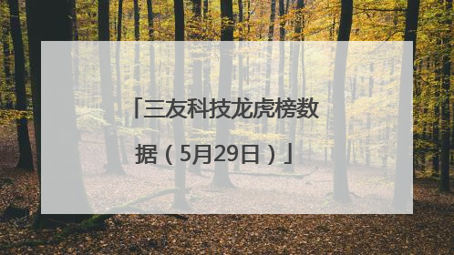三友科技龙虎榜数据（5月29日）