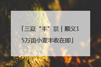 三夏“丰”景｜顺义15万亩小麦丰收在即