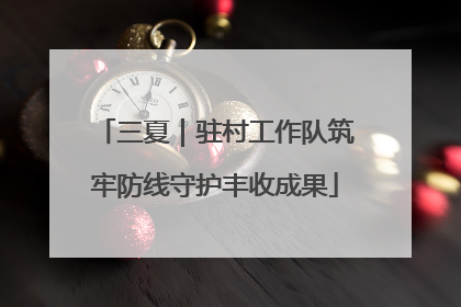 三夏｜驻村工作队筑牢防线守护丰收成果