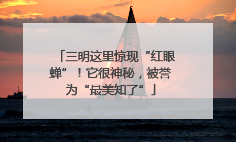 三明这里惊现“红眼蝉”！它很神秘，被誉为“最美知了”