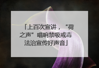 上百次宣讲，“荷之声”唱响禁吸戒毒法治宣传好声音