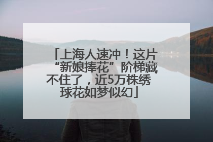 上海人速冲！这片“新娘捧花”阶梯藏不住了，近5万株绣球花如梦似幻