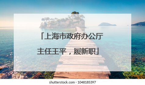 上海市政府办公厅主任王平，履新职