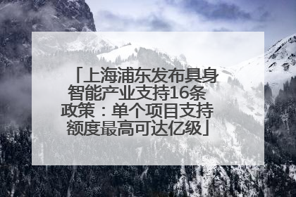 上海浦东发布具身智能产业支持16条政策：单个项目支持额度最高可达亿级