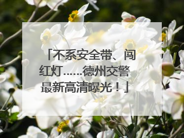 不系安全带、闯红灯……德州交警最新高清曝光！