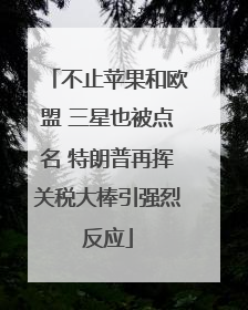 不止苹果和欧盟 三星也被点名 特朗普再挥关税大棒引强烈反应