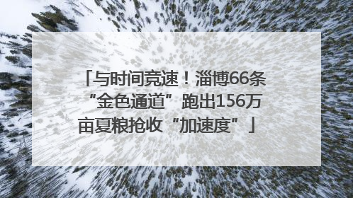 与时间竞速！淄博66条“金色通道”跑出156万亩夏粮抢收“加速度”