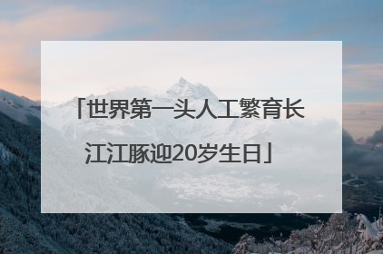世界第一头人工繁育长江江豚迎20岁生日