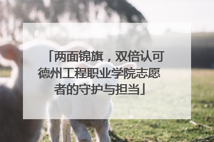 两面锦旗，双倍认可德州工程职业学院志愿者的守护与担当