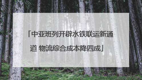 中亚班列开辟水铁联运新通道 物流综合成本降四成