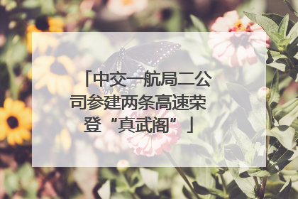 中交一航局二公司参建两条高速荣登“真武阁”
