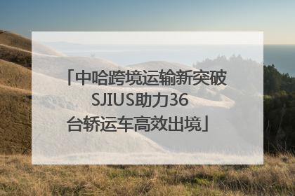 中哈跨境运输新突破 SJIUS助力36台轿运车高效出境