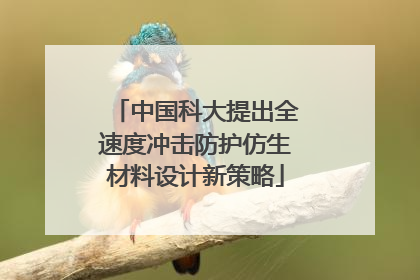 中国科大提出全速度冲击防护仿生材料设计新策略
