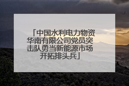 中国水利电力物资华南有限公司党员突击队勇当新能源市场开拓排头兵