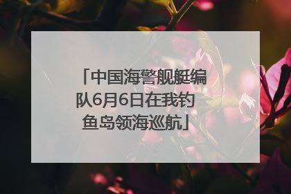 中国海警舰艇编队6月6日在我钓鱼岛领海巡航