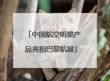 中国航空明星产品亮相巴黎航展