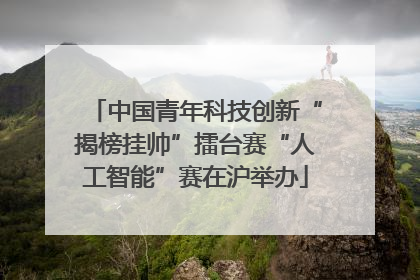 中国青年科技创新“揭榜挂帅”擂台赛“人工智能”赛在沪举办