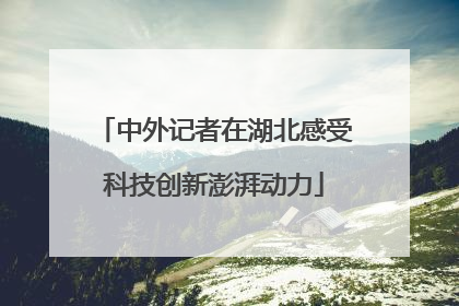 中外记者在湖北感受科技创新澎湃动力