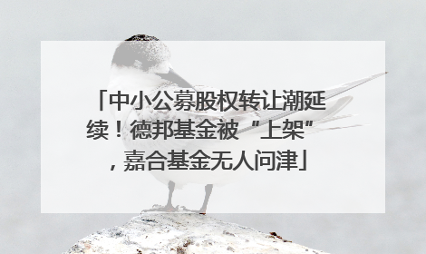 中小公募股权转让潮延续！德邦基金被“上架”，嘉合基金无人问津