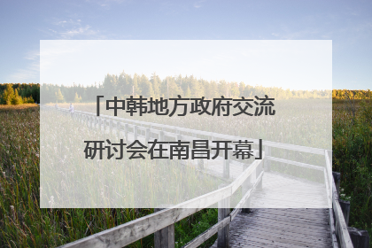 中韩地方政府交流研讨会在南昌开幕